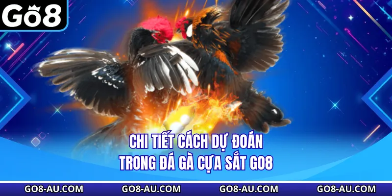 Chi tiết cách dự đoán trong đá gà cựa sắt GO8